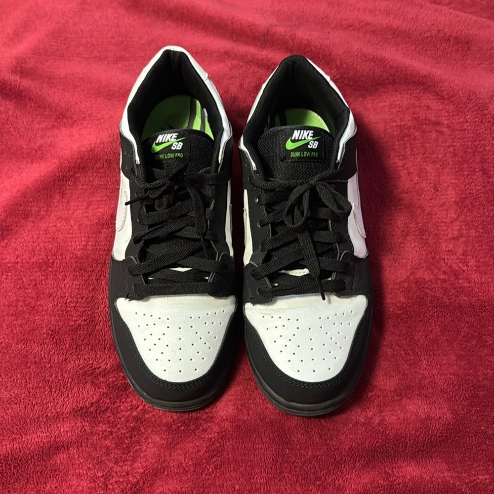 Nike dunk Pigeon’s